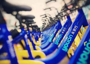 共享單車第一股上市在即 新銳品牌以廣告創(chuàng)新引領(lǐng)行業(yè)變革